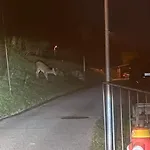 Daire La Perla Di Bre'