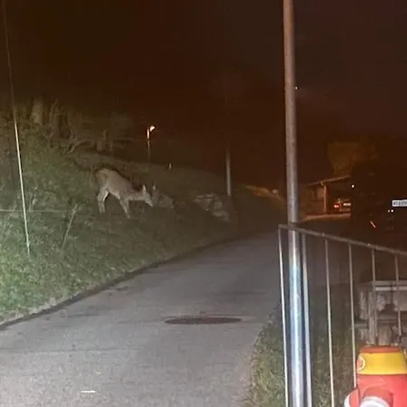 Apartment La Perla Di Bre'