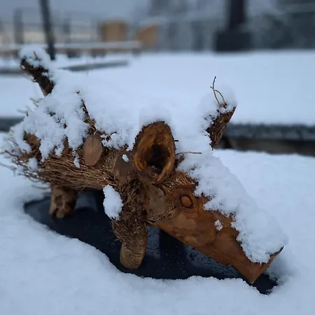 アパート La Perla Di Bre' ルガーノ