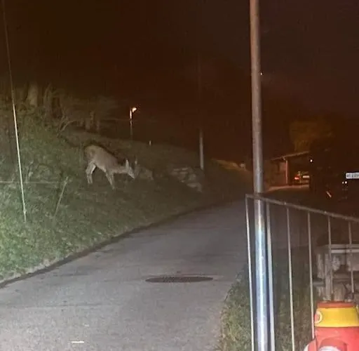 Daire La Perla Di Bre'